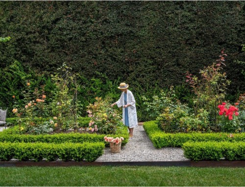 Echoes of Memory: A Simplicity Garden Retreat